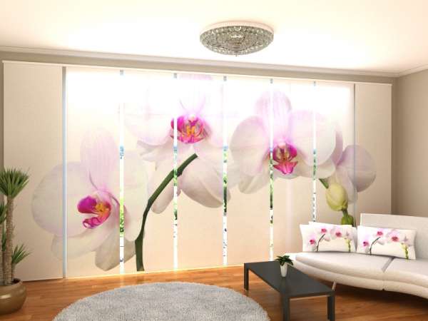 Sliding panel curtain (1-8 pts.): ORCHIDS CLOSE-UP