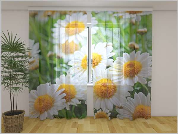 Chiffon curtain: WHITE CAMOMILES