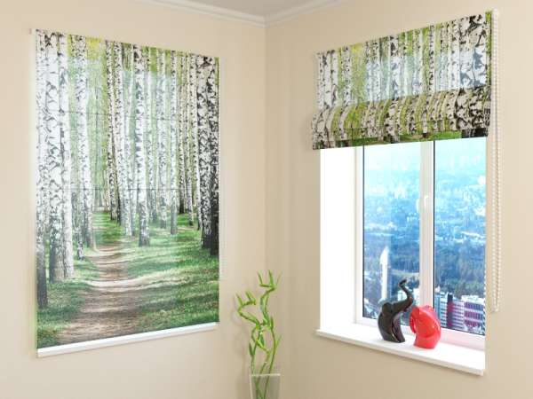 Roman blind: BIRCH FOREST