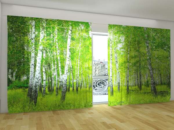 Panoramic curtain: SUMMER BIRCH FOREST