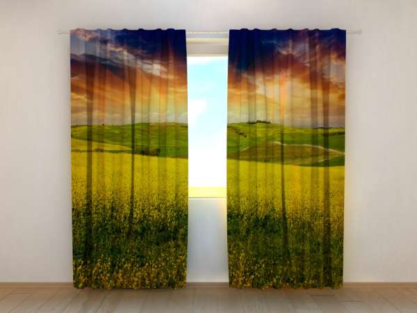 Photo curtain: YELLOW FIELD