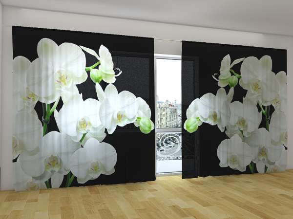 Panoramic curtain: YIN YANG ORCHID