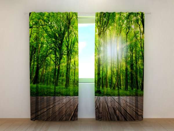 Photo curtain: FOREST AT THE DOORSTEP