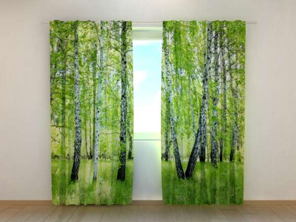 Photo curtain: SUMMER BIRCH FOREST