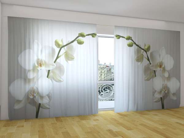 Panoramic curtain: RIGA ORCHID