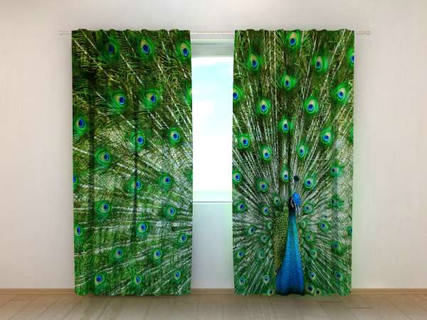 Photo curtain: BEAUTIFUL PEACOCK