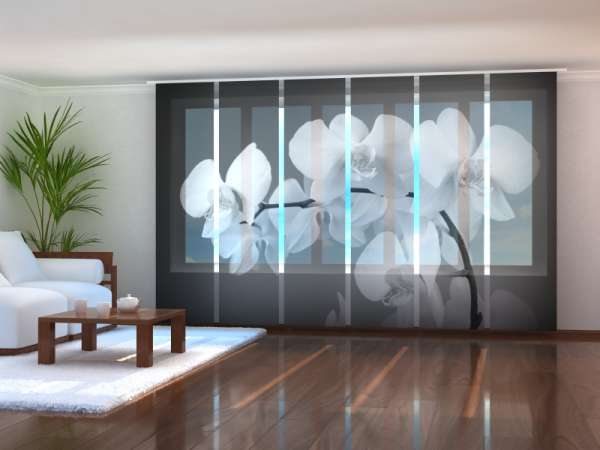 Sliding panel curtain (1-6 pts.): SONGS ORCHIDS BLACK AND WHITE