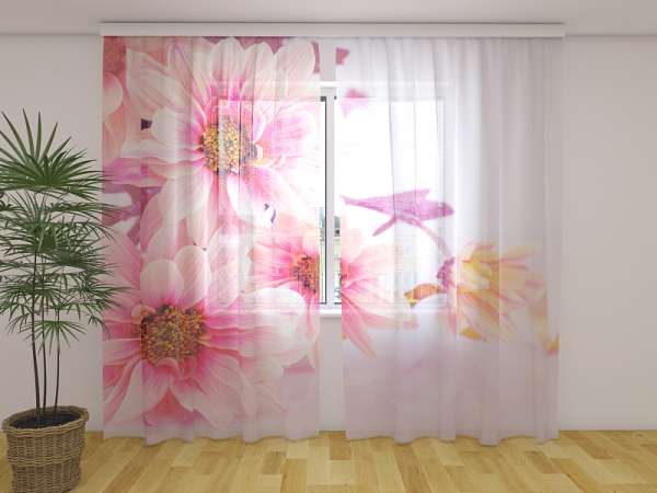 Chiffon curtain: PINK GERBERAS