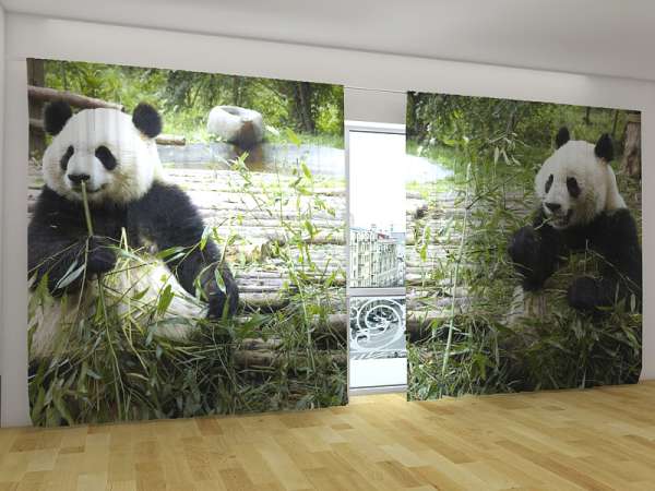 Panoramic curtain: SWEET PANDAS