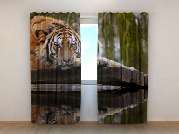 Photo curtain: WISDOM OF TIGER