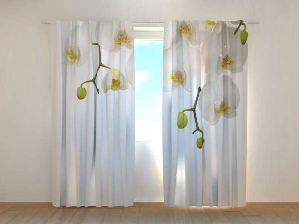 Photo curtain: BIG ORCHIDS