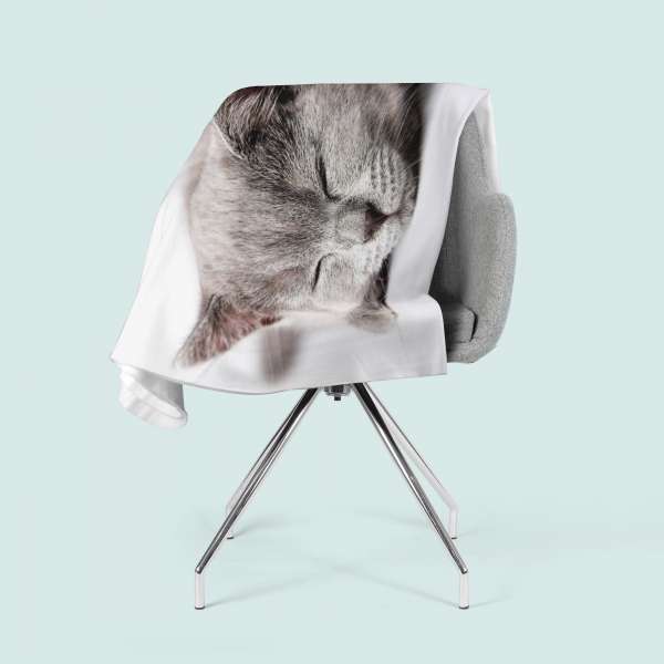 Fleece blanket: SLEEPING KITTEN