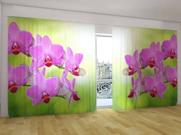 Panoramic curtain: ROMANTIC ORCHID