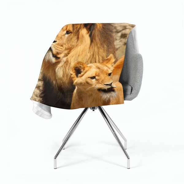 Fleece blanket: LIONS