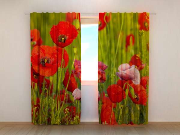 Photo curtain: RED POPPIES